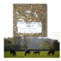 Preview: Kräutermenü - Beimischung für Pferdeweiden + Wildwiesen (500 g)
