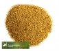 Preview: Gras - Rohrglanzgras  (Phalaris arundinacea) - 1 kg