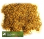 Preview: Gras - Rotschwingel  (Festuca rubra rubra) - 1 kg