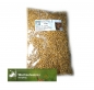 Preview: Weizen - Wechselweizen (Triticum spp.) - 1 kg