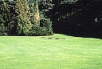 Lord 02 - Schattenrasen (VPE 1 kg)