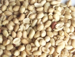 Erdnusskerne (5 x 5 kg)