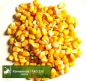 Mobile Preview: Mais - Körnermais - ungebeizt (Zea mays) - 1 kg