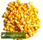 Preview: Mais - Körnermais / Saatmais - ungebeizt (Zea mays) - 1 kg