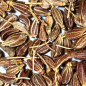Preview: Anis (Pimpinella anisum)  - 500 g
