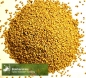 Preview: Klee - Bokharaklee, gelber Steinklee  (Melilotus officinalis) - 1kg