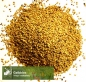 Preview: Klee - Gelbklee/Hopfenklee (Medicago lupulina) - 1 kg