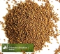Preview: Kohl - Grünkohl (frosthart) (Brassica oleracea convar. acephala var. Sabellica) -1 kg