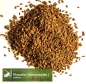 Mobile Preview: Phacelia (Bienenweide) (Phacelia tanacetifolia Benth.) - 1 kg