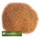 Preview: Gras - Rotes Straußgras (Agrostis capillaris)  - 1 kg