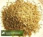 Preview: Gras - Dt. Weidelgras (tetraploid) (Lolium perenne) - 1 kg