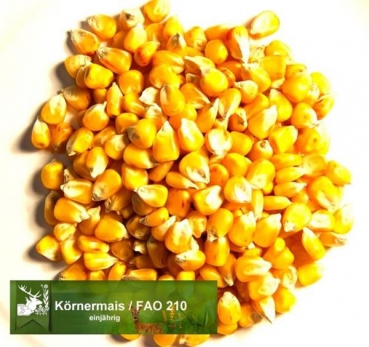 Mais - Körnermais / Saatmais - ungebeizt (Zea mays) - 1 kg