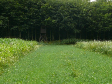 AgroVita II Schonstreifenmischung (10 kg)