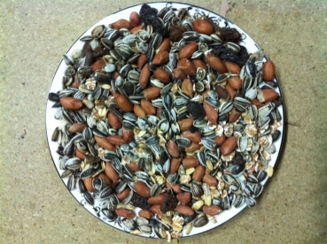 Vogelfutter - Wildvogelfutter Sommermix mit Frucht (4x2kg)
