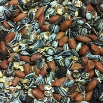 Vogelfutter - Wildvogelfutter Sommermix mit Frucht (4x2kg)