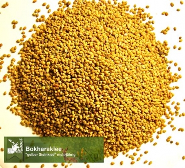 Klee - Bokharaklee, gelber Steinklee  (Melilotus officinalis) - 1kg