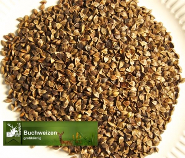 Buchweizen z. S. (großkörnig) (Fagopyrum esculentum) - 1 kg