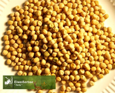 Erbse - Eiweißerbse (Pisum sativum convar. Arvense) - 1 kg