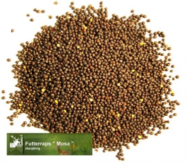 Raps - Futterraps Licapo - 00 (Brassica napus oleifera) - 1 kg