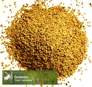 Klee - Gelbklee/Hopfenklee (Medicago lupulina) - 1 kg