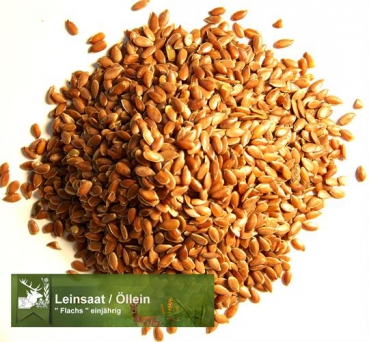 Leinsaat / Öllein (Linum usitatissimum) - 1 kg