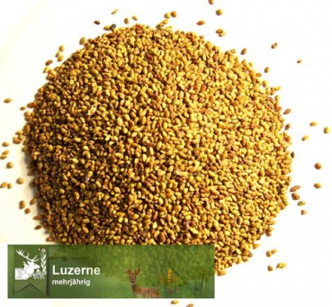 Klee - Luzerne  (Medicago sativa) - 1 kg