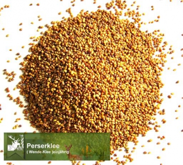 Klee - Perserklee (Trifolium resupinatum) - 1 kg