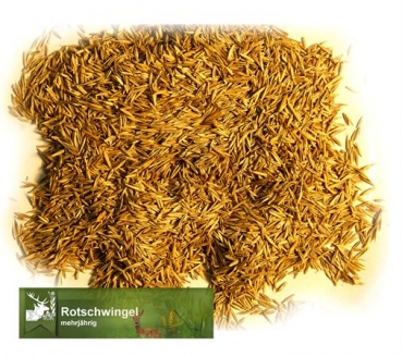 Gras - Rotschwingel  (Festuca rubra rubra) - 1 kg