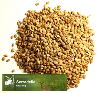 Klee - Serradella (Ornithopus sativus Brot.) - 1 kg