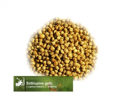 Lupine - Süßlupine, gelb (Lupinus luteus) - 1 kg