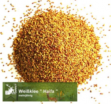 Klee - Weißklee (Trifolium repens) - 1 kg