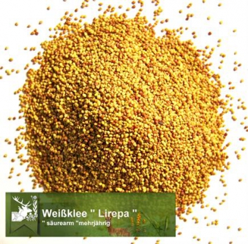 Klee - Weißklee  (säurearm) (Trifolium repens) - 1 kg
