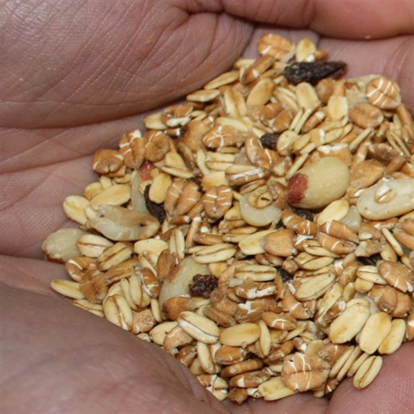 Vogelfutter - Fettfutter schalenlos 5kg