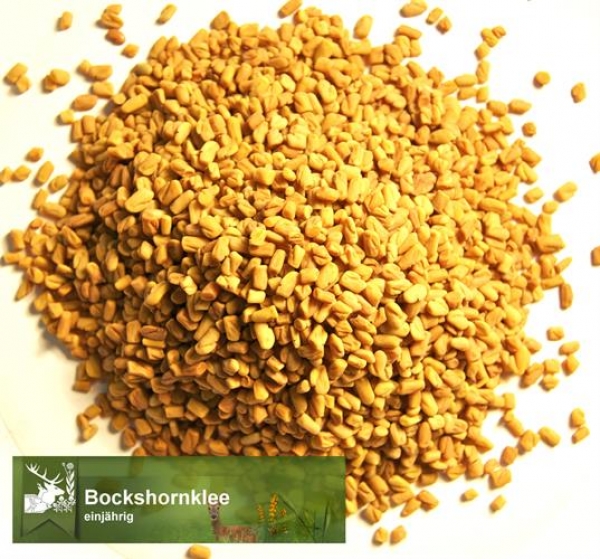 Klee - Bockshornklee z. S. (Trigonella foenum-graecum) - 1 kg