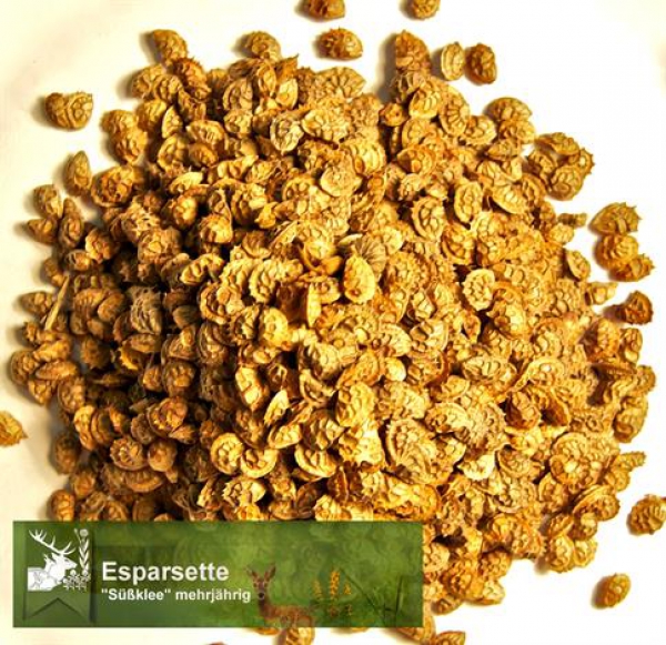 Klee - Esparsette (Onobrychis viciifolia) - 1 kg