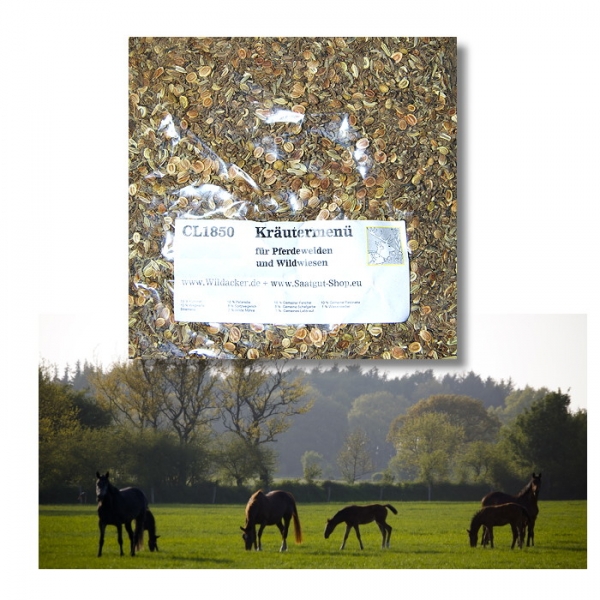 Kräutermenü - Beimischung für Pferdeweiden + Wildwiesen (500 g)