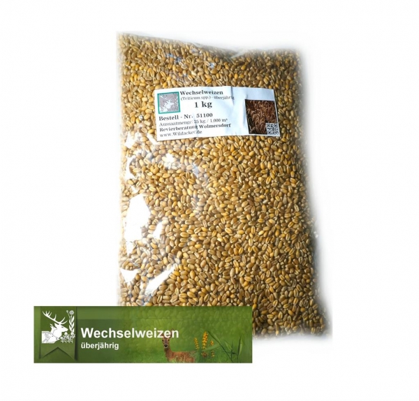 Weizen - Wechselweizen (Triticum spp.) - 1 kg