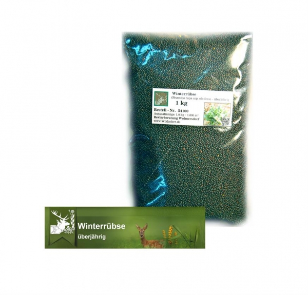 Rübe - Winterrübse (Brassica rapa ssp. oleifera) - 1 kg