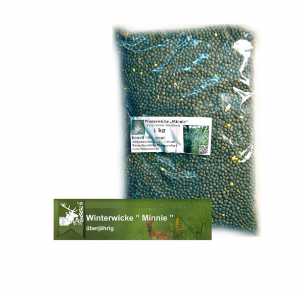 Wicke - Winterwicke, Zottige Wicke (Vicia villosa)  - 1 kg