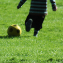 Rasen - RSM 2.3 - Gebrauchsrasen, Spielrasen (VPE 10 kg)