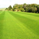 Rasen - RSM 7.1.2 Landschaftsrasen mit Kräutern (Hänge + Böschungen)