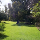 Rasen - RSM 7.2.1 - Landschaftsrasen (Trockenlagen + Böschungen) (VPE 10 kg)