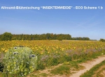 Allround-Blühmischung "Insektenweide" ECO-Scheme 1 b (10 kg)