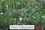 Wildblumen-Kräutermischung "INSEKTENOASE®" - 100g