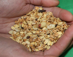 Vogelfutter - Fettfutter schalenlos 20kg